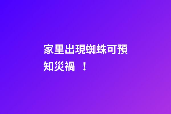 家里出現蜘蛛可預知災禍！